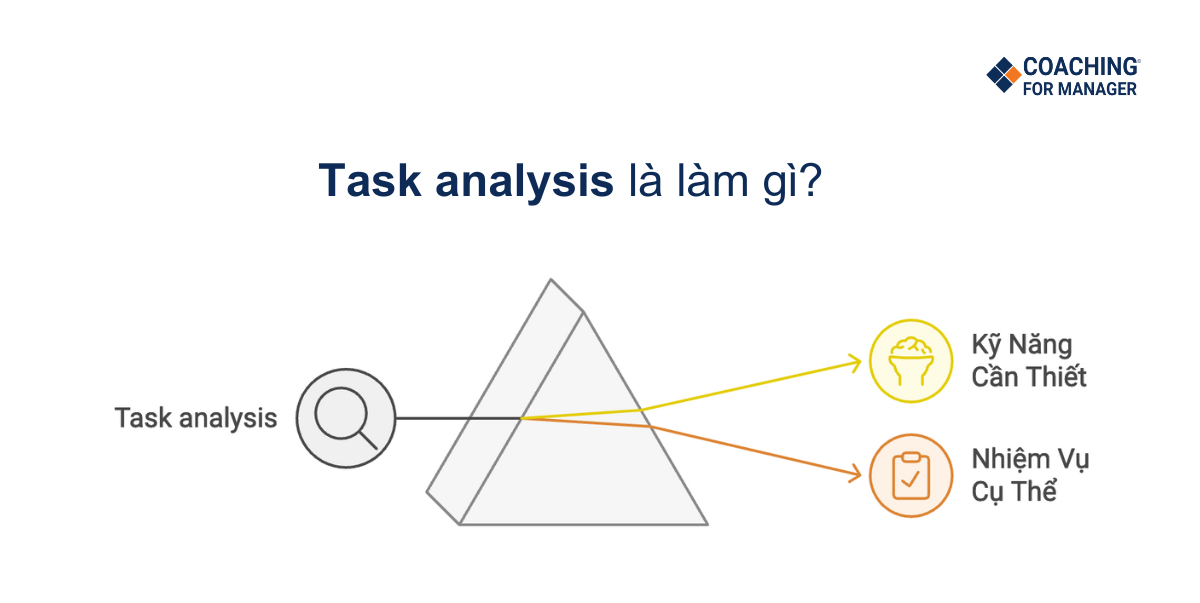 Task analysis là gì?