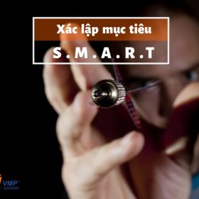 SMART VMP Academy